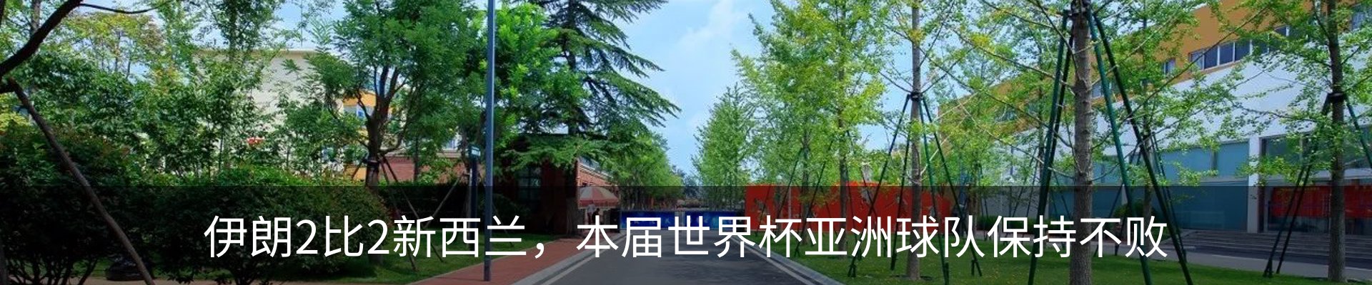 资讯动态